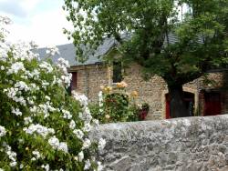 Le Vieux Frêne, chambres d'hotes en Auvergne n°9436