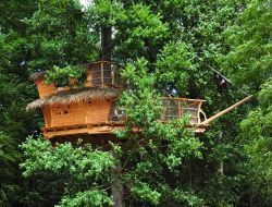 Pons Sejour en cabanes perches en Charente Maritime.