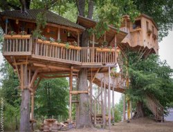 cabane perche en Alsace