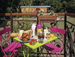 Unusual stay in a gyspy caravan in France. near Saint Cyprien Plage