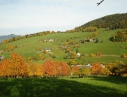 Luttenbach près Munster Gîte rural, Haut Rhin en Alsace.