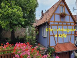 Gîte le Châtaignier en Alsace  n°3029