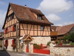 vacances dans le Haut Rhin  Oltingue n6385